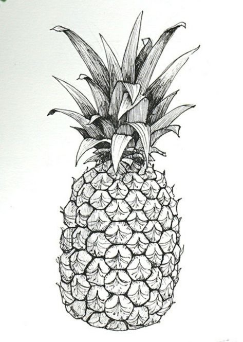 Pineapple Outline Drawing, Pinapple Drawings Pencil, Pineapple Drawings, Pineapple Coloring Page, Sketch Fruit, Pineapple Sketch, Pineapple Drawing, Pineapple Illustration, Sunset Canvas Painting