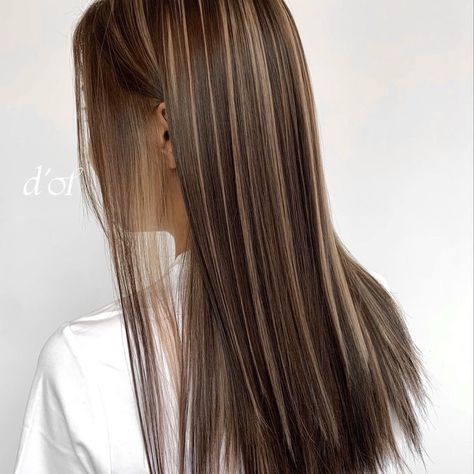 Shine Line Hair, Melir Hair Brown, Korean Highlights, Japanese Hair Color, Black Hair Balayage, Hair Color Underneath, Brown Hair Looks, Brown Hair Inspo, Hair Inspiration Long