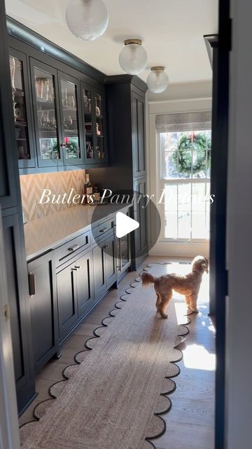 Allison Roman | Home Decor | Style | Lifestyle on Instagram: "More details of our butlers pantry Which feature would you use the most? Is there anything else you want to see more of in here?" Butlers Pantry Doorway, Butlers Pantry With Refrigerator, Navy Butlers Pantry, Turning Dining Room Into Butlers Pantry, Scullery Ideas Layout Butler Pantry, Open Butlers Pantry, Butlers Pantry Ideas Layout With Sink, Hidden Butlers Pantry Walk In, Pantry With Cabinets And Counter