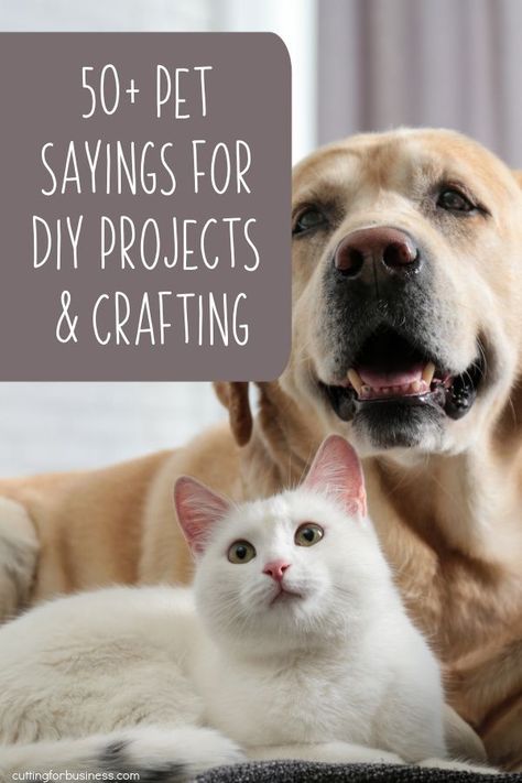 Pet Sayings, Paw Print Crafts, Cat Sayings, Dogs Diy Projects, Dog List, Dog Projects, Paws And Claws, Pet Signs, Dog Items