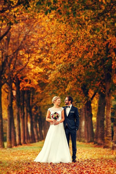 Fall Wedding Photo Ideas, Fall Wedding Pictures, Fall Engagement Shoots, Fall Wedding Photography, Fall Wedding Photos, Wedding First Look, Bride Groom Photos, Photos Poses, Couple Photoshoot Poses