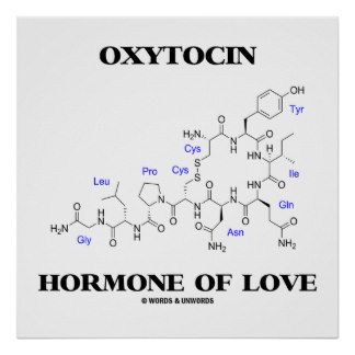 Chemical Formula For Love, Chemistry Molecules Art, Chemistry Tattoo Ideas, Serotonin Chemical Structure Tattoo, Chemistry Definition, Chemistry Love, Oxytocin Hormone, Chemistry Poster, Physical Science High School