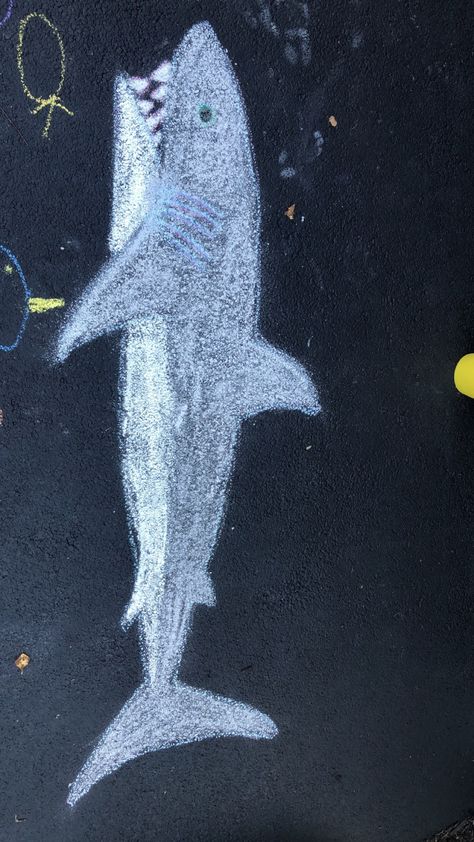 Sidewalk Chalk Animals, Whale Chalk Art, Chalk Sea Animals, Shark Chalk Art, Animal Chalk Art, Fun Chalk Art, Chalkboard Doodles, Shark Drawing, Chalk Talk