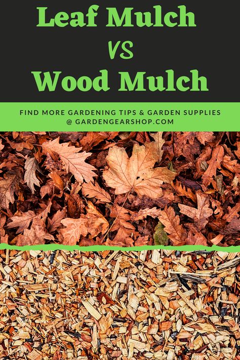 Leaf Mulch vs Wood Mulch >> VISIT LINK TO LEARN MORE @GardenGearShop.com << #gardengearshop #gardening #garden #leaves #leaf #fall #yard Pictures Of Leaves, Leaf Mulch, Fall Yard, Garden Prepping, Compost Bins, Diy Compost, Garden Wood, Wood Mulch, Video Garden