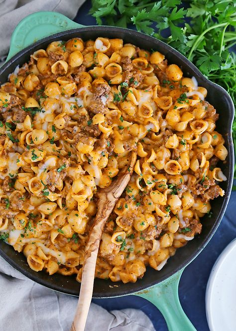 One-Pot Creamy Beef and Shells Medium Shell Pasta Recipes, Ground Beef And Pasta Shells, Mini Shell Pasta Recipes, Mini Pasta Shell Recipes, Small Shell Noodle Recipes, Beef Shells Pasta, Mini Bow Tie Pasta Recipes, Mini Pasta Shells Recipe, Macaroni Shells Recipes