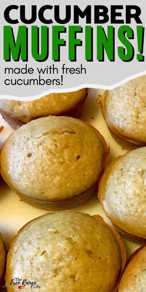 Uses For Cucumbers Recipes For, Cucumber Ideas For Canning, Cucumbers Recipes Healthy, Cooking With Cucumbers, Ways To Can Cucumbers, How To Cook Cucumbers, Cucumber Muffin Recipe, Recipes That Use Cucumbers, Cucumber Powder Uses