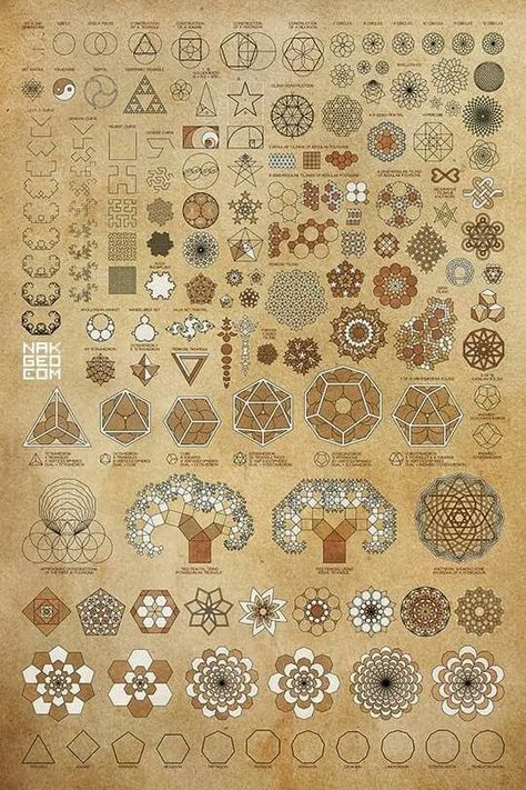 Geometry Symbols, Sacred Geometry Symbols, Platonic Solid, Sacred Geometry Art, Geometry Pattern, Math Art, Geometry Art, Golden Ratio, Flower Of Life