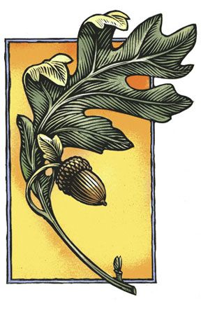 Mises En Page Design Graphique, Google Image Search, Art And Craft Design, Arts Crafts Style, 자수 디자인, Oak Leaf, Arts And Crafts Movement, Leaf Art, Oak Tree