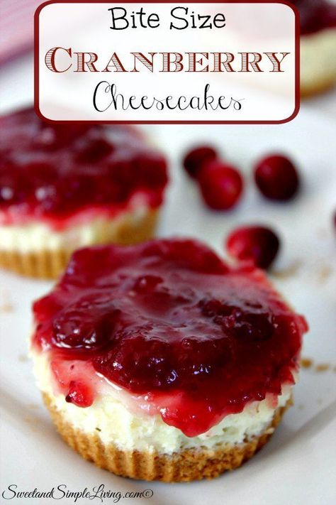 Bite Size Holiday Desserts, Mini Cranberry Cheesecake, Cranberry Cheesecake Recipes, Individual Cheesecakes, Cranberry Cheesecake, Biscuits Graham, Diy Easy Recipes, Delicious Thanksgiving, Nice Food