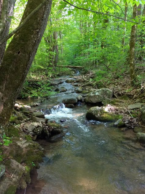 Creek Background, Creek Drawing, 13 Treasures, Creek Aesthetic, Creek Photoshoot, Creek Nature, Peaceful Backgrounds, Types Of Aesthetics, Cabin Aesthetic