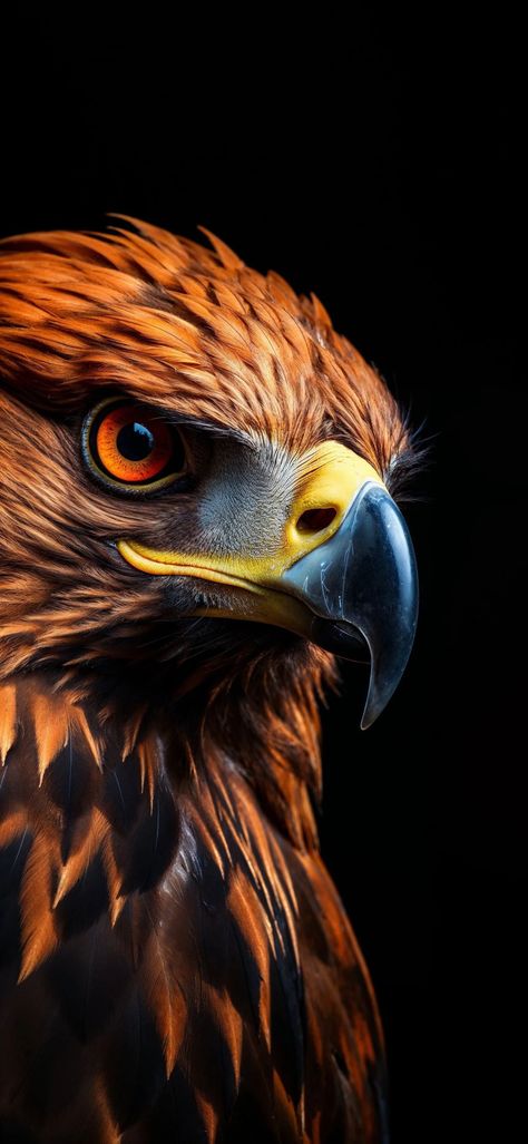 Hawk Photography, Minion Phone Wallpaper, Hipster Background, Eagle Images, Victoria Secret Wallpaper, Fierce Animals, Eagle Wallpaper, Devian Art, Lion Wallpaper