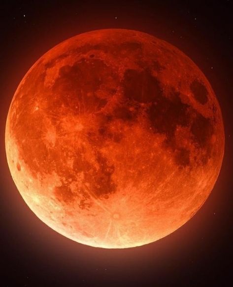 Eclipse Lunar, Secret In Lace, Orange Moon, Astronomy Art, Moon Eclipse, Moon Photos, Moon Poster, Anime Dragon Ball Goku, Lunar Eclipse