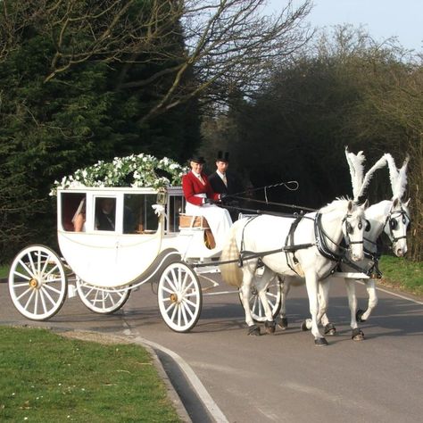 Horse And Carriage Wedding, Prom Car, Baby Blue Weddings, Horse Drawn Carriage, Wedding Carriage, Horse Wedding, Wedding Dr, Royal Aesthetic, Last Ride