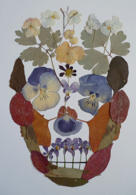 My first flower skull Art Club Projects, Flower Anatomy, Dried Flowers Crafts, Flower Petal Art, Art Intervention, Petal Art, Natural Paint, Flower Picture Frames, Nature Craft