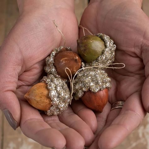 A Bethany Lowe design Christmas, Thanksgiving or whatever you feel like using them for, these mini Fall Glittered Acorn ornaments have that timeless look that fits into multiple holidays and design themes. There small size is perfect for filling in gaps on tradition trees or even feather trees too! As the unmistakable scent of fall fills the air, the Fall Glittered Acorn Mini Ornaments Set brings a sparkle to your seasonal decor. Designed by Bethany Lowe, this quartet of hand-painted resin tree Acorn Ornaments Diy, Acorn Decorations, Fall Ornaments, Acorn Ornaments, Resin Ornaments, Bethany Lowe Designs, Pinecone Ornaments, Painted Resin, Bethany Lowe