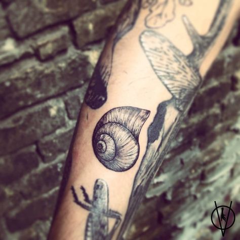 Snail Shell Tattoo, Pinterest Tattoos, Snail Tattoo, Stick Poke, Shell Tattoo, Stick Poke Tattoo, Tattoos Pinterest, Shell Tattoos, Tattoo Spots