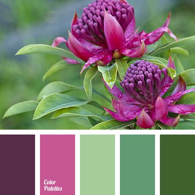 Soothing Paint Colors, Plum Paint, Brand Colour Schemes, Colour Guide, Color Palette Challenge, Green Palette, Green Colour Palette, Color Play, Design Seeds