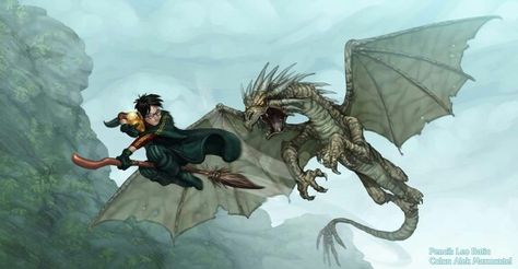 Harry Potter Triwizard Tournament art Harry Potter Dragon, Triwizard Tournament, Harry Potter Painting, Harry Potter Print, Harry Potter Illustrations, Rowling Harry Potter, Hp Harry Potter, Harry Potter Food, Harry Potter Artwork