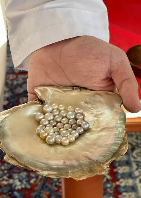 Visit the Suwaidi Pearls Farm in Ras Al Khaimah Ras Al Khaimah Aesthetic, Sea Life Activities, Pearl Farm, Ras Al Khaimah, Dubai Abu Dhabi, Going On Holiday, Interesting Places, On Holiday, Bahrain