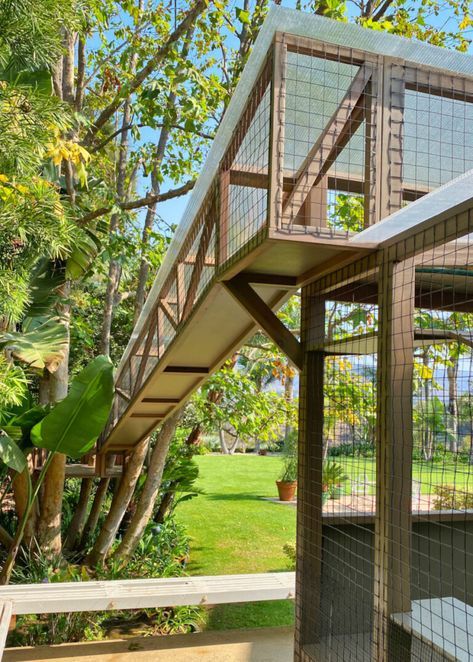 Cat Runs, Skyways, and Bridges - Custom Catios Luxury Catio Cats, Cat Skywalk, Catios Ideas For Cats, Custom Catios, Cat Balcony, Pet Patio, Cat Jungle Gym, Outdoor Cat Run, Outside Cat Enclosure