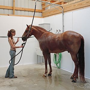 Horse Wash Stall Indoor, Pole Barn Horse Barns, Small Horse Barn Ideas Layout, Horse Barn Organization, Barn Designs Ideas, Horse Barn Interior, Small Horse Barn Plans, Horse Barn Ideas, Simple Horse Barns