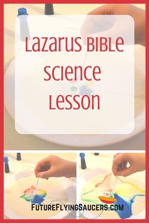 Lazarus Bible Story, Jesus And Lazarus, Bible Science, Childrens Ministry Curriculum, Kids Church Lessons, Sunday School Curriculum, Kids Sunday School Lessons, Bible Object Lessons, Sunday School Crafts For Kids