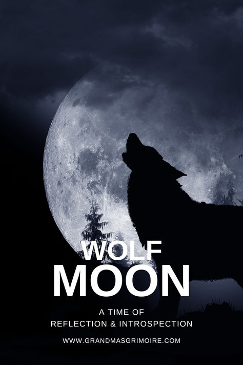 Wolf Moon: A Time of Deep Reflection and Introspection Full Wolf Moon 2024, Full Wolf Moon, January Full Moon, Moon Information, Moon Craft, Witch Tips, Moon Crafts, Magic Moon, Full Moon Ritual