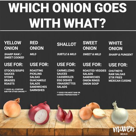 Multiple types of onions, but when to use each? Here's a cheat sheet.😉 Types Of Onions, Food Fantasy, Summer Salad Recipes, Cheese Appetizers, Food Info, Egg Dish, Soup And Sandwich, Pickling Recipes, Food Help