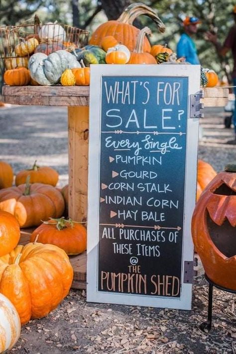 Pumpkin Patch Business, Agritourism Farms, Farm Fest, Tis Autumn, Pumpkin Patch Farm, Roadside Stand, Starting A Farm, Pumpkin Stand, October Country