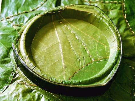 Leaf Plate, Eco Friendly Disposable Plates, Disposable Bamboo Plates, Banana Leaf Plates, Edible Cups, Cabbage Leaf Plates, Environmentally Friendly Living, Materials And Structures, Palm Leaf Plates