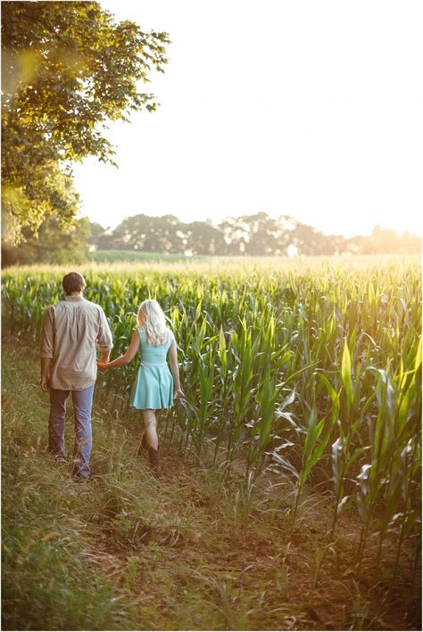 Farm engagement photos in a corn field - so cute! Click to view more! Farm Engagement Photos, Farm Wedding Photos, Barn Wedding Photos, Corn Field, Engagement Photos Country, Farm Photography, Country Engagement, Knoxville Wedding, Photographs Ideas