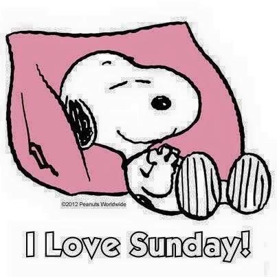 Sunday Coeur Gif, Snoopy Funny, Cartoon Disney, Snoopy Images, Peanuts Cartoon, Slaap Lekker, Snoopy Quotes, Snoopy Pictures, Snoop Dog