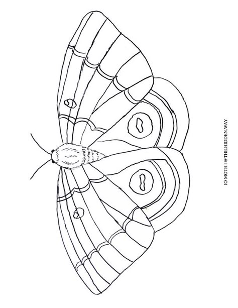 Insect Line Art, Butterfly Line Drawing, Drawing Butterflies, Butterfly Stencils, Winged Stencil, Coloring Doodles, Gelli Printing Techniques, Fabric Butterflies, Beaded Insects