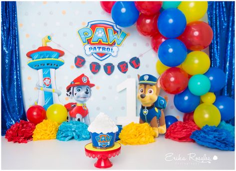 Paw Patrol Photo Shoot Ideas, Paw Patrol Cake Smash, Smurfs Party Decorations, Skye Paw Patrol Cake, Paw Patrol Skye Birthday, Unicorn Cake Smash, 2nd Birthday Pictures, Lion King Birthday Party Ideas, Monster Inc Cakes