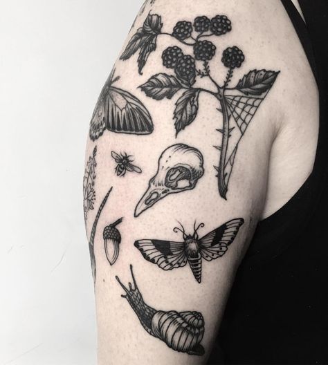 4,512 Likes, 22 Comments - Rebecca Dewinter (@rebeccadewinterttt) on Instagram: “Danielle's collection - mostly healed” Tattoo Sleeve Botanical, Natur Tattoo Arm, Botanisches Tattoo, Nature Tattoo Sleeve, Tattoo Nature, Bug Tattoo, Nature Tattoo, 4 Tattoo, Tattoos Geometric