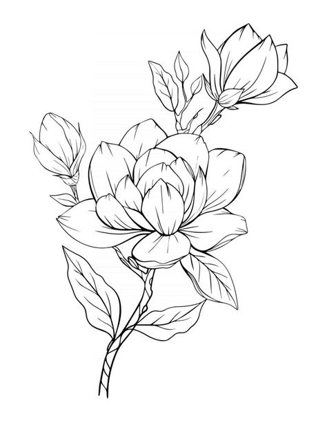 Lotus Flower Sketch, Flower Outline Tattoo, Lilies Drawing, Magnolia Tattoo, Flower Line Art, Flower Line Drawings, Flower Drawing Design, Flower Outline, Flower Art Drawing