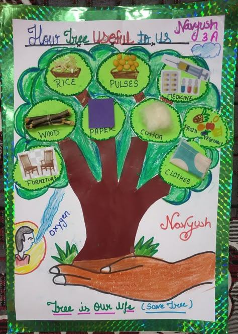 Things We Get From Trees Chart, Things We Get From Plants Chart, Van Mahotsav Activities, Rakhi Chart For School, Kindergarten Science Projects, Environmental Projects At School, Craft Work For Kids, Tree Study, Kindergarden Activities