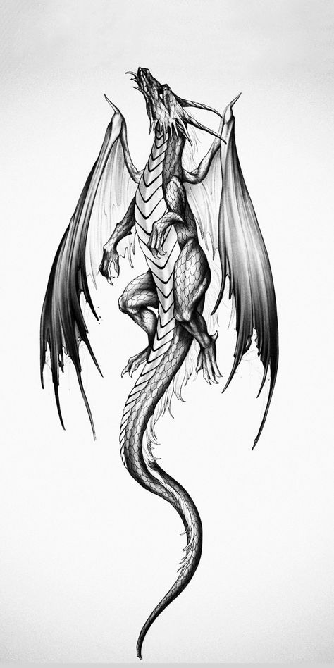 Flash Artwork, Dragon Tattoo Stencil, Dragon Tattoo Drawing, Tattoos Dragon, Celtic Dragon Tattoos, Dragon Tattoo Sketch, Dragon Tattoos For Men, Small Dragon Tattoos, Dragon Tattoo Art