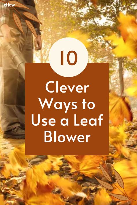 Your leaf blower can do a lot more than you give it credit for. Don't banish it to a dusty corner of the garage until autumn leaves start falling. From blasting old cobwebs to cleaning your car, you might be surprised by how many ways this trusty device can make your life easier through all seasons. Leaf Blower Hacks, Leaf Cleanup Hacks, Leaf Removal Hacks, Leaf Clean Up, Clean Garage, Diy Leaves, Lawn Tools, Leaf Blowers, Clean Your Car