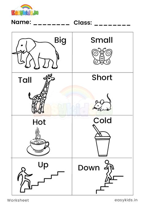 Opposite words worksheet - EasyKids.in Worksheet For Opposite Words, Opposite Lesson Plans Preschool, Opposite Words For Kids Worksheet, Opposites Worksheet Preschool, Opposite Activities For Preschool, Opposite Words Worksheet, Opposite Worksheet, Opposites Activity, Opposite Words For Kids