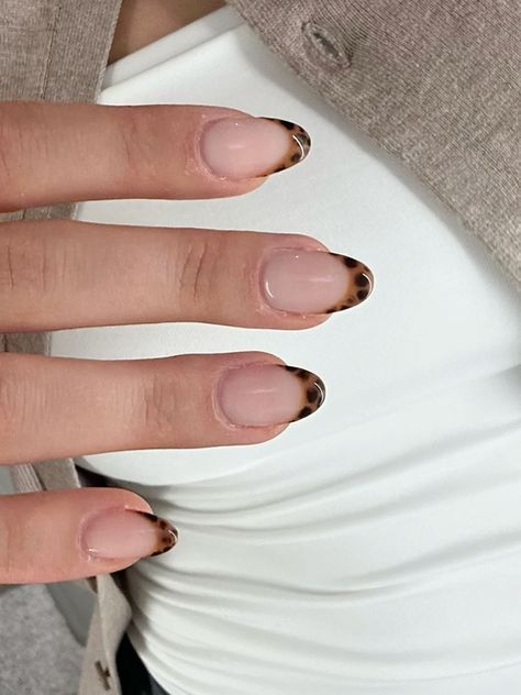 Simple Nails Acrylic Neutral, French Tip Nails Leopard, How To Leopard Nails, French Nails With Leopard Print, Oval Cheetah Nails, Chic Long Nails, Going Into Fall Nails, French Tip With Cheetah Print, Animal Pattern Nails