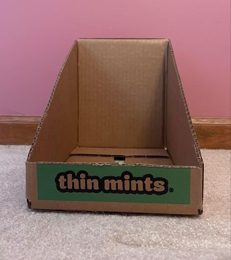 Girl Scout Cookie Box Display, Daisy Activities, Girl Scout Daisy Activities, Girl Scout Mom, Cookie Booth, Girl Scout Cookie Sales, Brownie Badges, Girl Scout Cookies Booth, Gs Cookies