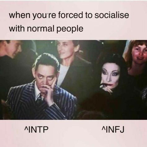 Intp And Infj Couple, Intp And Infj Duo, Intp Infj Friendship, Intp Love Relationships, Intp Quotes Aesthetic, Infj Intp Love, Infj And Intp Relationship, Entp And Intp Relationship, Intj And Intp Relationships