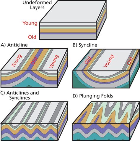 Fold Geology, Structural Geology, Geology Activities, Mountain Formation, Types Of Folds, Bible Timeline, Science Room, Petroleum Engineering, Field Journal