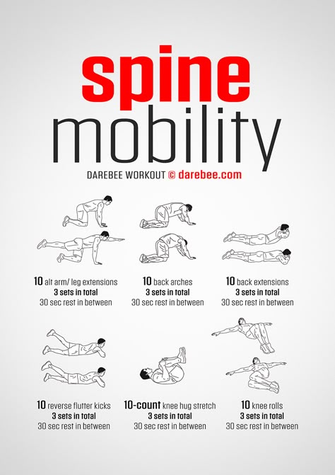 Exercise Poster, Spine Mobility, Mobility Workout, Shoulder Workouts, Bolesti Chrbta, Trening Sztuk Walki, Mobility Exercises, Workout Without Gym, Body Workout Plan