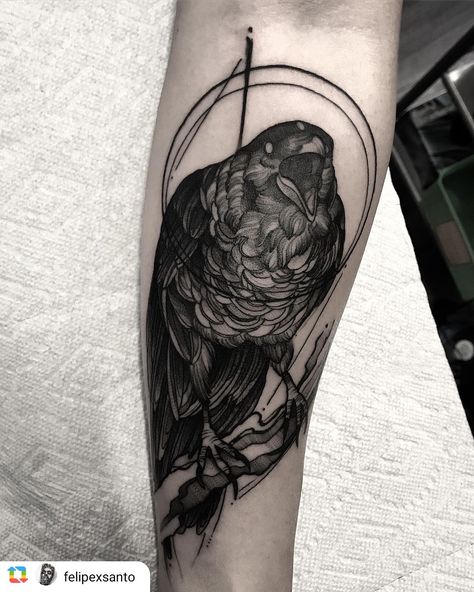 Three Eyed Crow Tattoo, Three Eyed Raven Tattoo, Three Eyed Crow, Three Eyed Raven, Crow Tattoo, Raven Tattoo, Of Ideas, Third Eye, Toronto