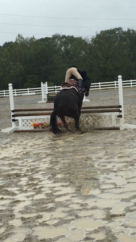 Horse jumping falls #horses #horsefail People Falling Off Horses, Grey Horse Jumping, Black Horse Jumping, Falling Off Horse, Horse Riding Jumping, Horse Falls, Fell Pony, Horsey Life, Jumping Horse