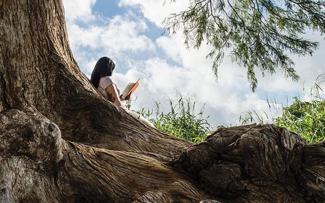 My favorite place is in San Antonio: a huge cypress near my house, along the San Antonio River, where Crofton and Constance streets meet. It’s at least a century old and full of orifices for whispering or leaving offerings. Its … Person In Nature, Reading In Nature, Reading Place, Sandra Cisneros, Forest Book, Tree Aesthetic, Texas Monthly, San Antonio River, Yennefer Of Vengerberg