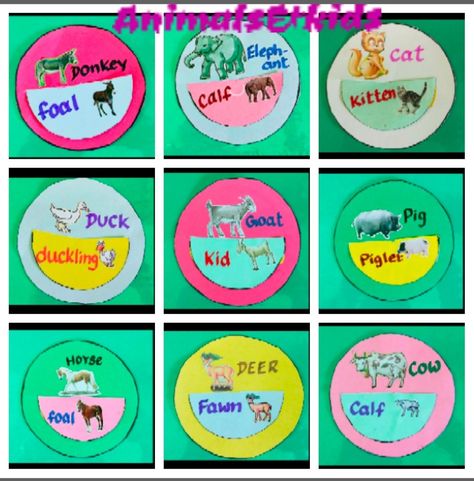 Tlm Ideas, Animals And Their Babies, Activity Based Learning, Baby Animals, Vocabulary, Kittens, Make It Yourself, Drawings, Animals