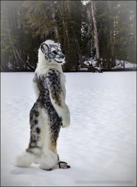 Fandom Crafts, Fur Costume, Fursuit Head, Dot Net, Animal Costumes, Paws And Claws, Snow Leopard, In The Wild, Online Gallery